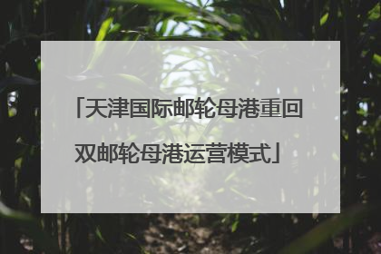 天津国际邮轮母港重回双邮轮母港运营模式