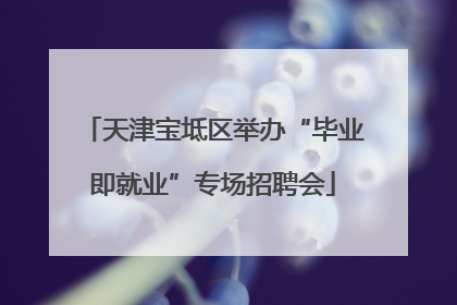 天津宝坻区举办“毕业即就业”专场招聘会