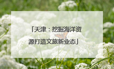 天津：挖掘海洋资源打造文旅新业态