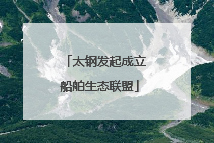 太钢发起成立船舶生态联盟