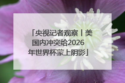 央视记者观察丨美国内冲突给2026年世界杯蒙上阴影