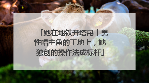 她在地铁开塔吊丨男性唱主角的工地上，她独创的操作法成标杆
