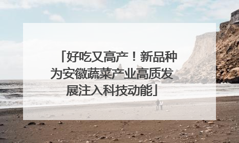 好吃又高产！新品种为安徽蔬菜产业高质发展注入科技动能