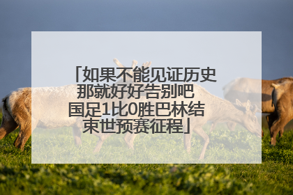 如果不能见证历史 那就好好告别吧 国足1比0胜巴林结束世预赛征程