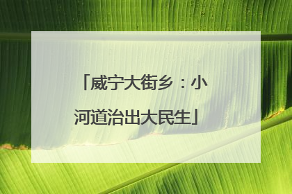 威宁大街乡：小河道治出大民生