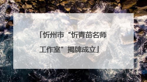 忻州市“忻青苗名师工作室”揭牌成立
