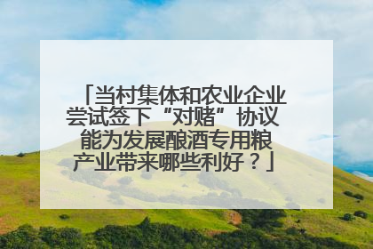 当村集体和农业企业尝试签下“对赌”协议 能为发展酿酒专用粮产业带来哪些利好？
