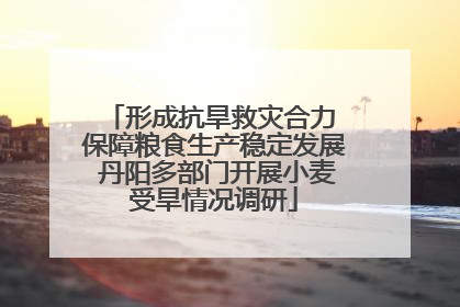 形成抗旱救灾合力 保障粮食生产稳定发展 丹阳多部门开展小麦受旱情况调研