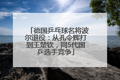 德国乒乓球名将波尔退役：从孔令辉打到王楚钦，同5代国乒选手竞争
