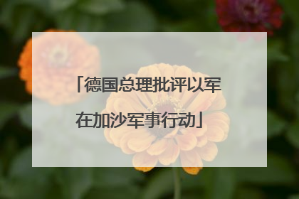德国总理批评以军在加沙军事行动