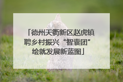 德州天衢新区赵虎镇聘乡村振兴“智囊团” 绘就发展新蓝图