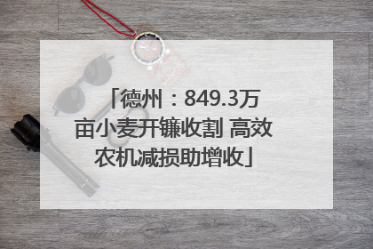 德州：849.3万亩小麦开镰收割 高效农机减损助增收
