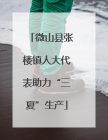 微山县张楼镇人大代表助力“三夏”生产