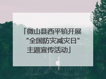 微山县西平镇开展“全国防灾减灾日”主题宣传活动