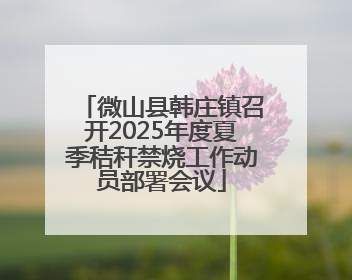 微山县韩庄镇召开2025年度夏季秸秆禁烧工作动员部署会议