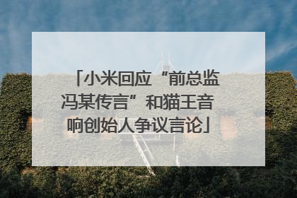 小米回应“前总监冯某传言”和猫王音响创始人争议言论