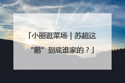 小丽逛菜场｜苏超这“鹅”到底谁家的？
