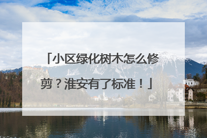 小区绿化树木怎么修剪？淮安有了标准！
