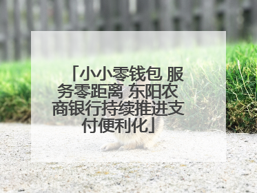 小小零钱包 服务零距离 东阳农商银行持续推进支付便利化
