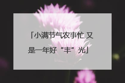 小满节气农事忙 又是一年好“丰”光