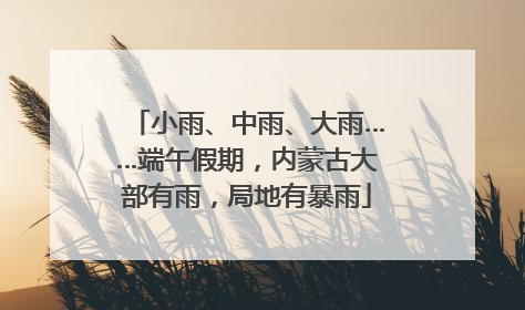 小雨、中雨、大雨……端午假期，内蒙古大部有雨，局地有暴雨