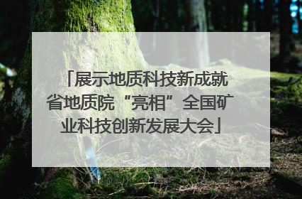 展示地质科技新成就 省地质院“亮相”全国矿业科技创新发展大会