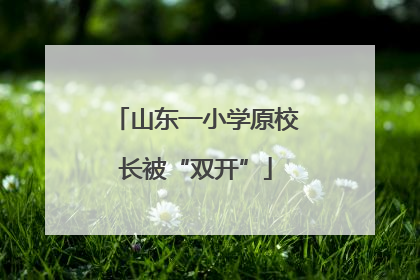 山东一小学原校长被“双开”