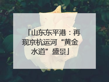 山东东平港：再现京杭运河“黄金水道”盛景