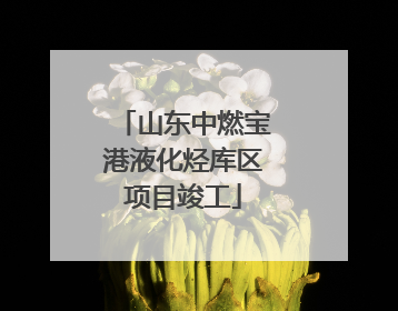 山东中燃宝港液化烃库区项目竣工