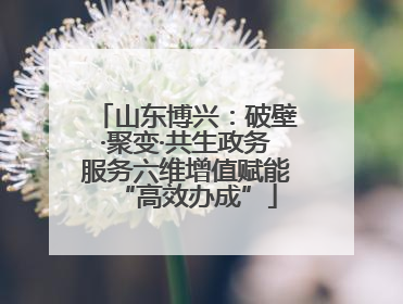 山东博兴：破壁·聚变·共生政务服务六维增值赋能“高效办成”