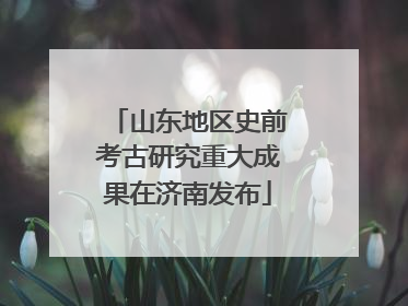山东地区史前考古研究重大成果在济南发布