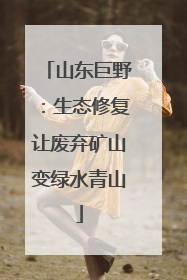 山东巨野：生态修复让废弃矿山变绿水青山