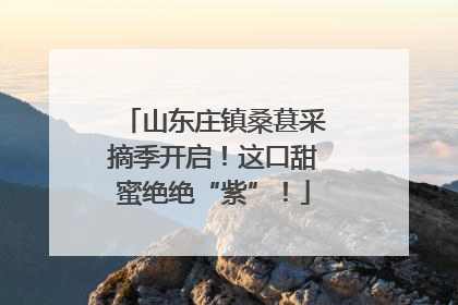 山东庄镇桑葚采摘季开启！这口甜蜜绝绝“紫”！