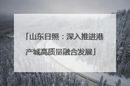 山东日照：深入推进港产城高质量融合发展