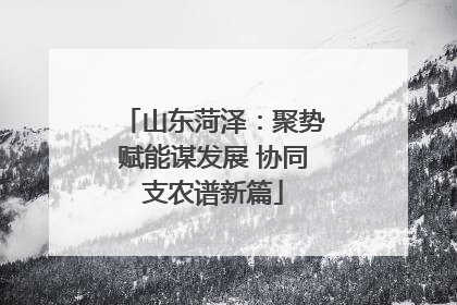 山东菏泽：聚势赋能谋发展 协同支农谱新篇