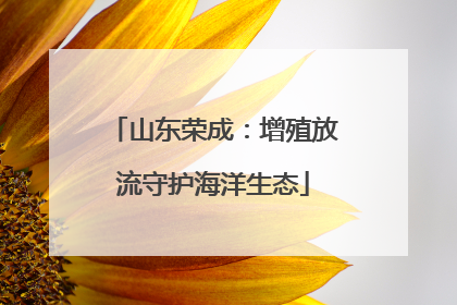 山东荣成：增殖放流守护海洋生态