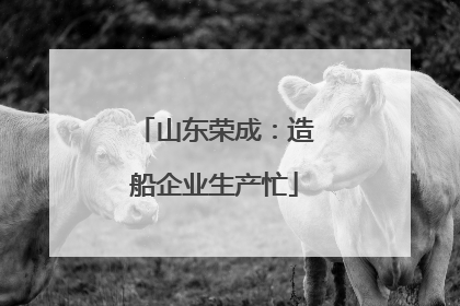 山东荣成：造船企业生产忙