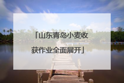山东青岛小麦收获作业全面展开
