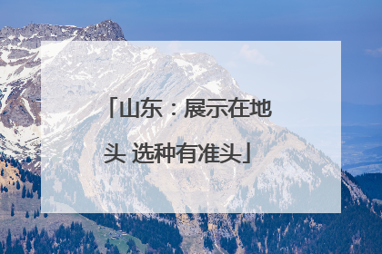 山东：展示在地头 选种有准头