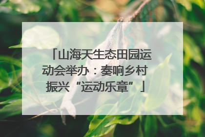 山海天生态田园运动会举办：奏响乡村振兴“运动乐章”