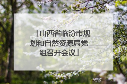 山西省临汾市规划和自然资源局党组召开会议