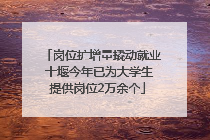 岗位扩增量撬动就业 十堰今年已为大学生提供岗位2万余个