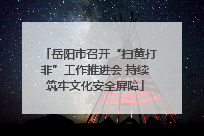 岳阳市召开“扫黄打非”工作推进会 持续筑牢文化安全屏障