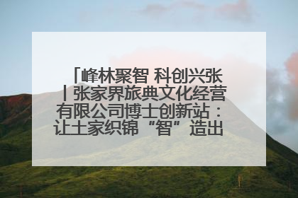 峰林聚智 科创兴张丨张家界旅典文化经营有限公司博士创新站：让土家织锦“智”造出非遗新传奇