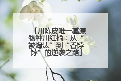 川陈皮唯一基源物种川红橘：从“被淘汰”到“香饽饽”的逆袭之路
