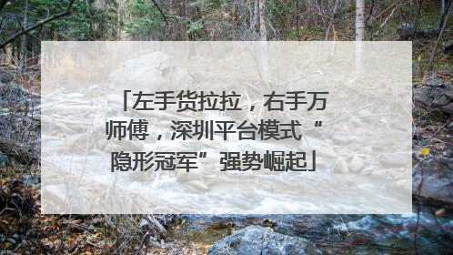 左手货拉拉，右手万师傅，深圳平台模式“隐形冠军”强势崛起
