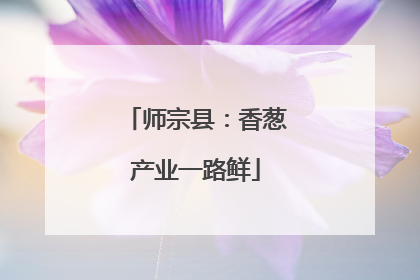 师宗县：香葱产业一路鲜