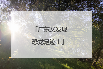 广东又发现恐龙足迹！