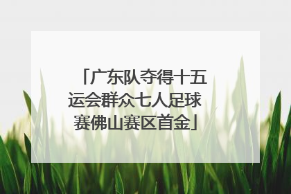 广东队夺得十五运会群众七人足球赛佛山赛区首金