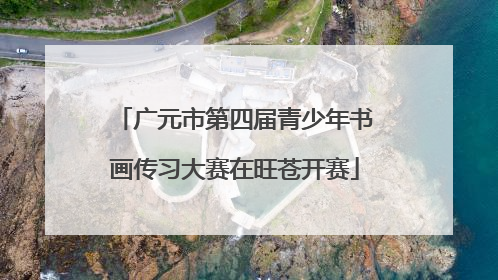 广元市第四届青少年书画传习大赛在旺苍开赛